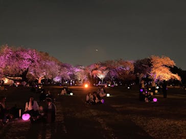 NAKED 桜の新宿御苑 2023に投稿された画像（2023/4/5）