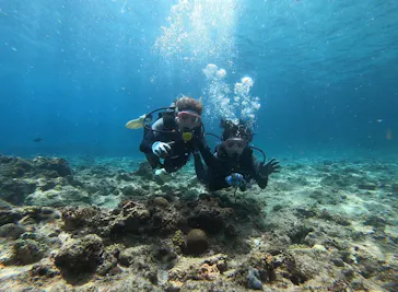 武藤潜水に投稿された画像（2023/4/5）