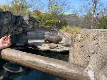 天王寺動物園に投稿された画像（2023/4/5）