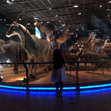 国立科学博物館に投稿された画像（2023/4/5）