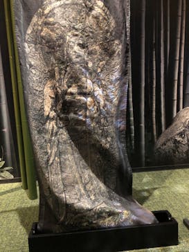 小田原城に投稿された画像（2023/4/5）