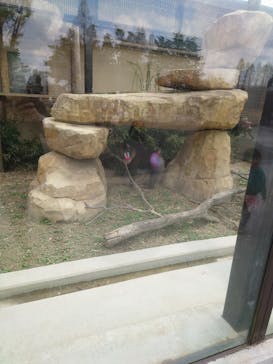 東武動物公園に投稿された画像（2023/4/5）