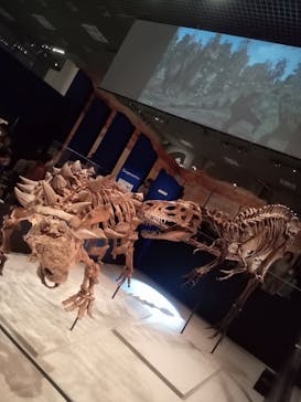 特別展「恐竜博2023」に投稿された画像（2023/4/5）