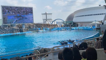 名古屋港水族館に投稿された画像（2023/4/5）