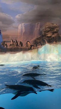 名古屋港水族館に投稿された画像（2023/4/5）
