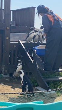 名古屋港水族館に投稿された画像（2023/4/5）