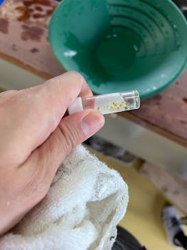 土肥金山に投稿された画像（2023/4/5）