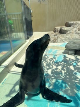 サンシャイン水族館に投稿された画像（2023/4/5）