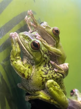 サンシャイン水族館に投稿された画像（2023/4/5）