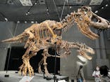 特別展「恐竜博2023」に投稿された画像（2023/4/5）