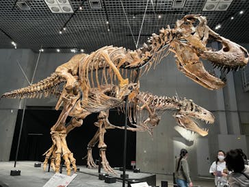 特別展「恐竜博2023」に投稿された画像（2023/4/5）