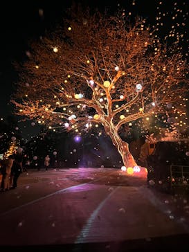 西武園ゆうえんちに投稿された画像（2023/4/5）