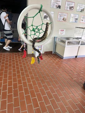 おきなわワールドに投稿された画像（2023/4/5）