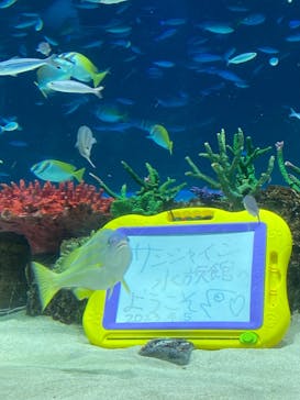 サンシャイン水族館に投稿された画像（2023/4/5）