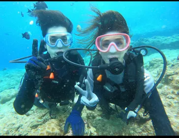 武藤潜水に投稿された画像（2023/4/5）