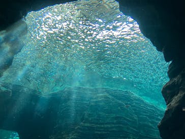 上越市立水族博物館 うみがたりに投稿された画像（2023/4/5）