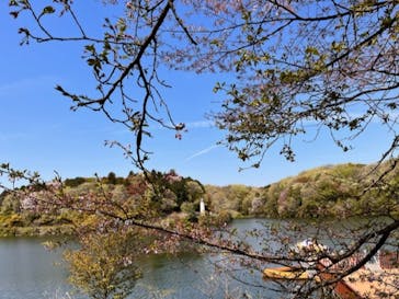 ムーミンバレーパークに投稿された画像（2023/4/5）