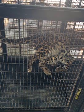 群馬サファリパークに投稿された画像（2023/4/5）