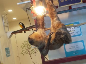 アニタッチみなとみらいに投稿された画像（2023/4/5）