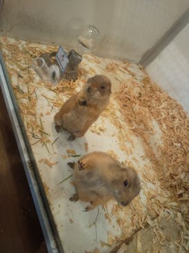 アニタッチみなとみらいに投稿された画像（2023/4/5）