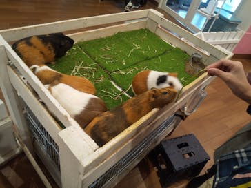 アニタッチみなとみらいに投稿された画像（2023/4/5）