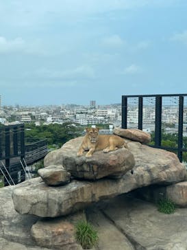 沖縄こどもの国に投稿された画像（2023/4/5）