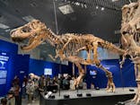 特別展「恐竜博2023」に投稿された画像（2023/4/5）