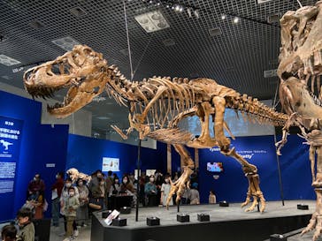 特別展「恐竜博2023」に投稿された画像（2023/4/5）