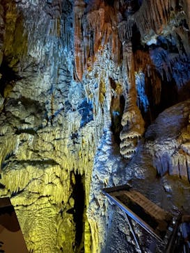 あぶくま洞に投稿された画像（2023/4/5）