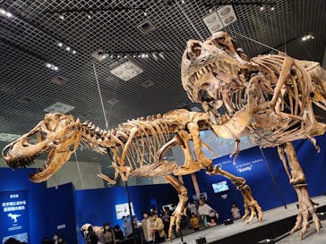 特別展「恐竜博2023」に投稿された画像（2023/4/5）