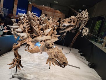 特別展「恐竜博2023」に投稿された画像（2023/4/5）