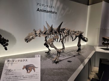 特別展「恐竜博2023」に投稿された画像（2023/4/5）