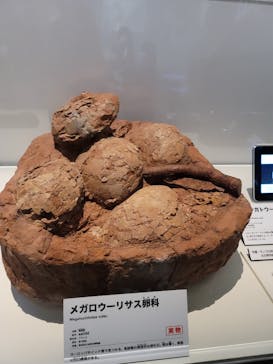 特別展「恐竜博2023」に投稿された画像（2023/4/5）