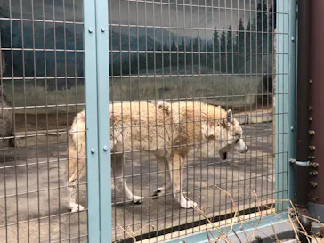 天王寺動物園に投稿された画像（2023/4/5）