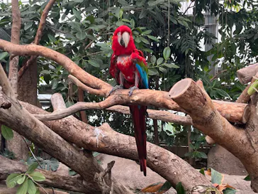 神戸どうぶつ王国に投稿された画像（2023/4/5）