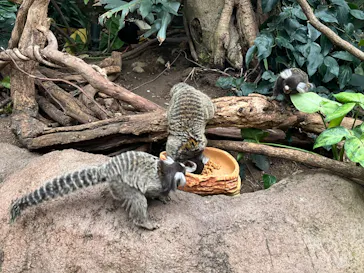 神戸どうぶつ王国に投稿された画像（2023/4/5）