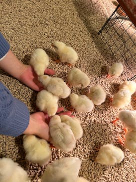 Moff animal cafe イオンモール幕張新都心店に投稿された画像（2023/4/5）