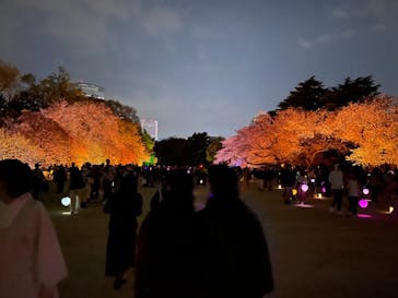 NAKED 桜の新宿御苑 2023に投稿された画像（2023/4/5）