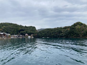 伊根湾めぐり遊覧船に投稿された画像（2023/4/5）