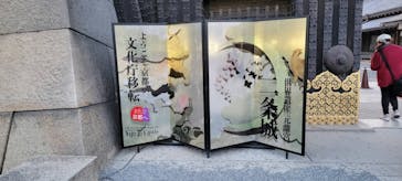 『NAKED FLOWERS 2023 桜 世界遺産・二条城』に投稿された画像（2023/4/5）