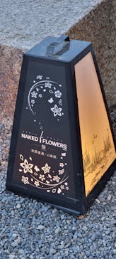 『NAKED FLOWERS 2023 桜 世界遺産・二条城』に投稿された画像（2023/4/5）