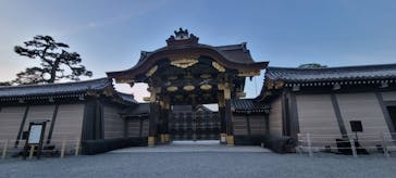 『NAKED FLOWERS 2023 桜 世界遺産・二条城』に投稿された画像（2023/4/5）