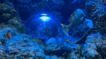 名古屋港水族館に投稿された画像（2023/4/5）