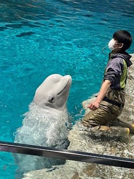 名古屋港水族館に投稿された画像（2023/4/5）