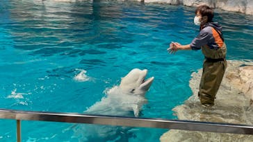 名古屋港水族館に投稿された画像（2023/4/5）