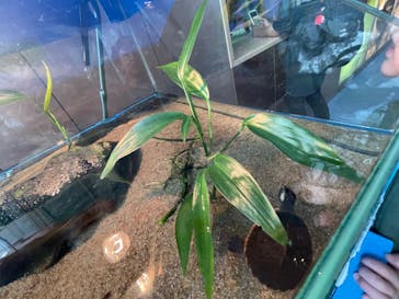 名古屋港水族館に投稿された画像（2023/4/5）