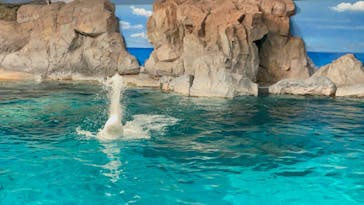 名古屋港水族館に投稿された画像（2023/4/5）