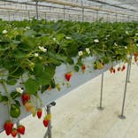 石川農園に投稿された画像（2023/4/5）