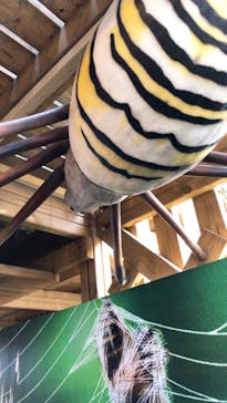 モビリティリゾートもてぎに投稿された画像（2023/4/5）