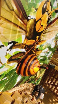 モビリティリゾートもてぎに投稿された画像（2023/4/5）